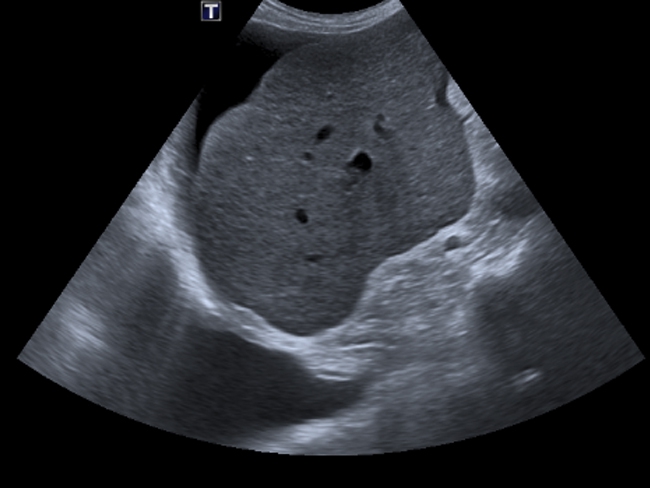 Canon Toshiba Xario 200G